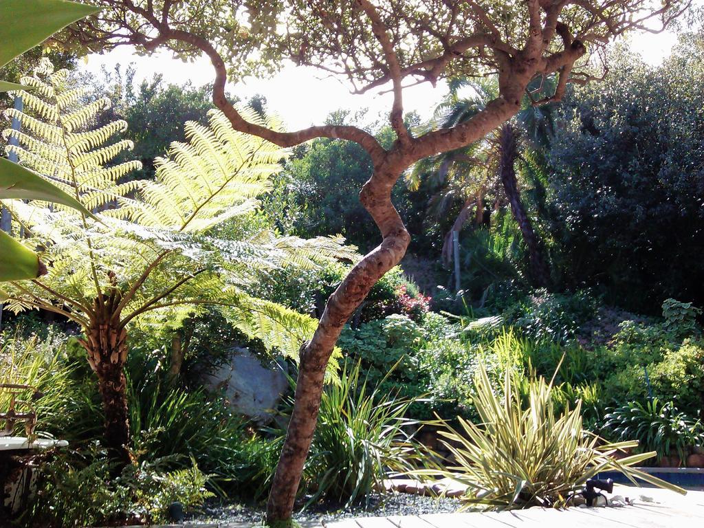 ホテル Hout Bay Hideaway エクステリア 写真