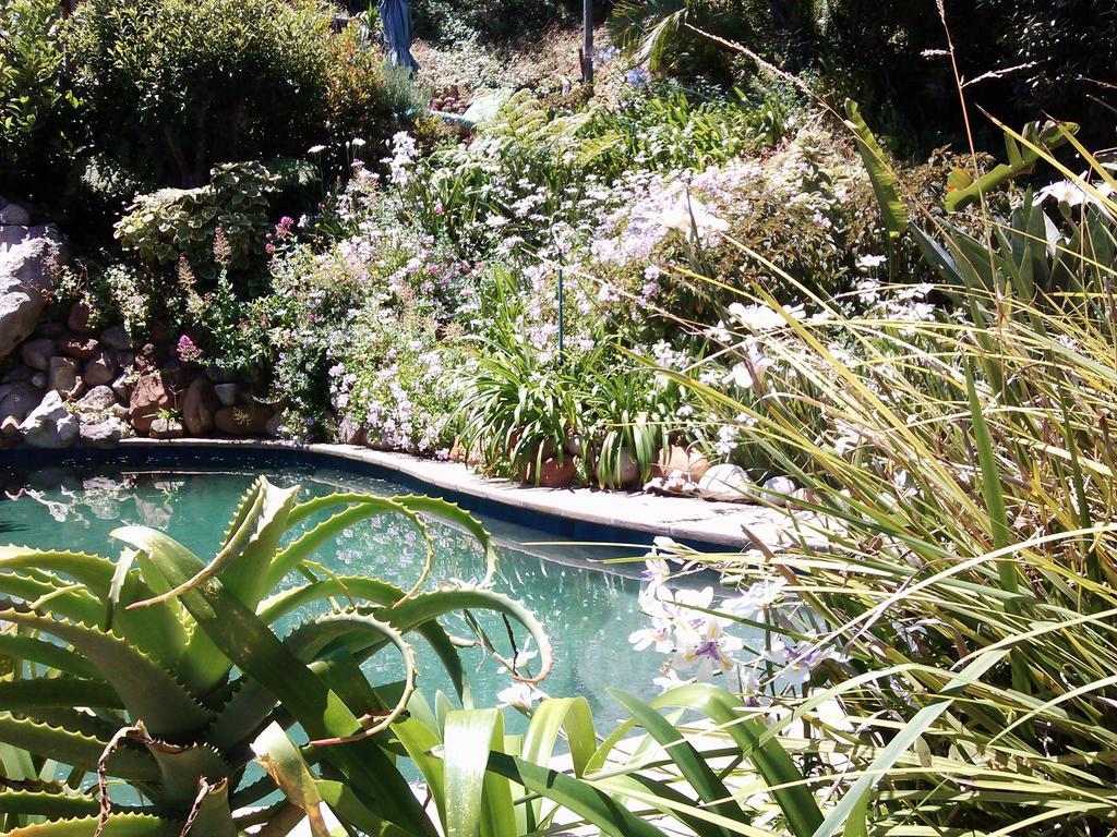ホテル Hout Bay Hideaway エクステリア 写真