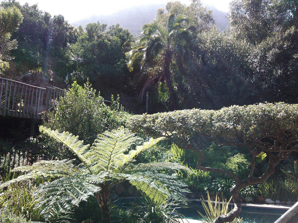 ホテル Hout Bay Hideaway 部屋 写真
