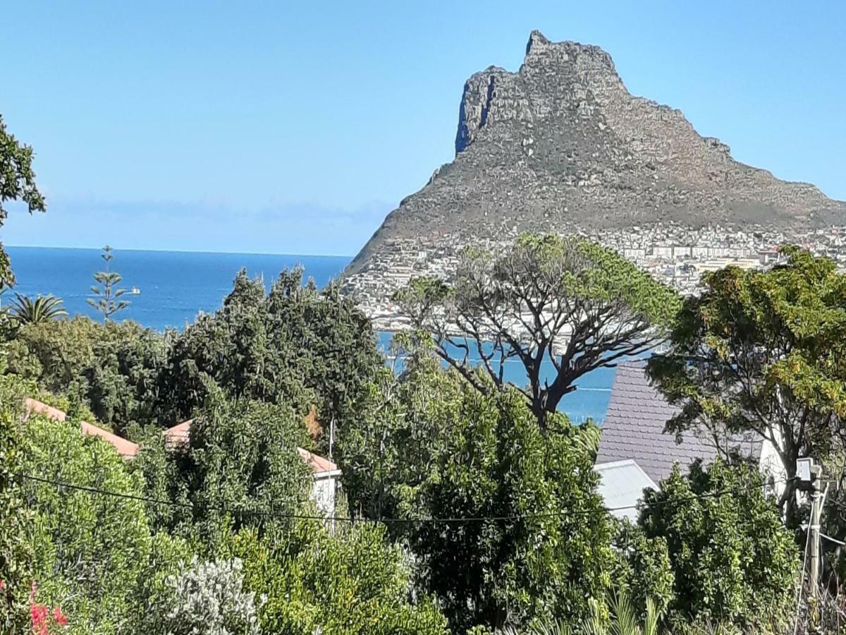 ホテル Hout Bay Hideaway エクステリア 写真