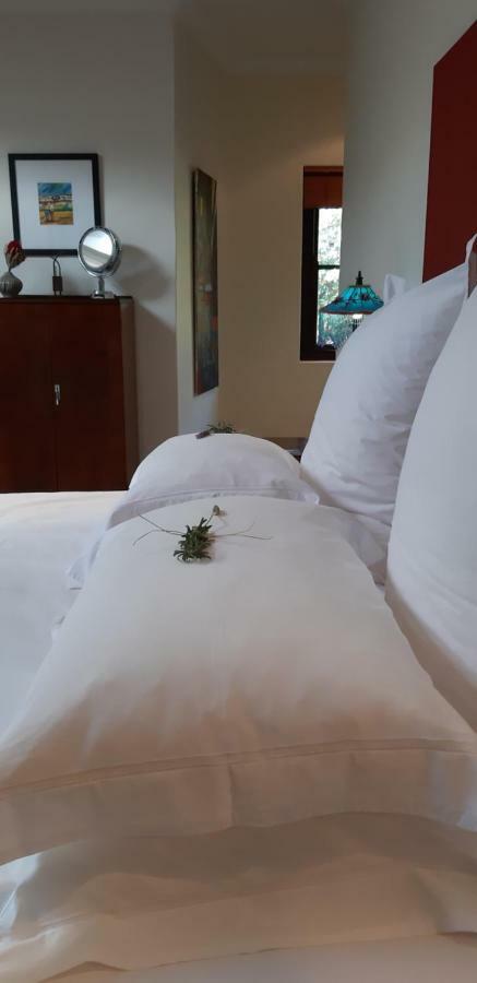 ホテル Hout Bay Hideaway エクステリア 写真
